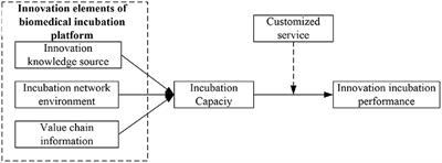 Innovation Elements, Incubation Capacity, and Incubation Performance in Biomedical Incubation Platforms: Moderating Role of Customized Services